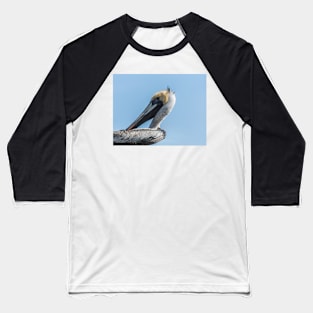 Brown pelican in Calabash Baseball T-Shirt